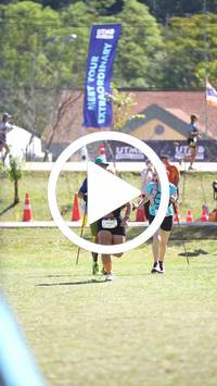 BIB:  <button type="button" onclick="openModal(26584319)" class="btn btn-primary btn-sm float-right" data-toggle="modal" data-target=".modal-high-quality">
                <i class="fa fa-download"></i> Download
                </button>